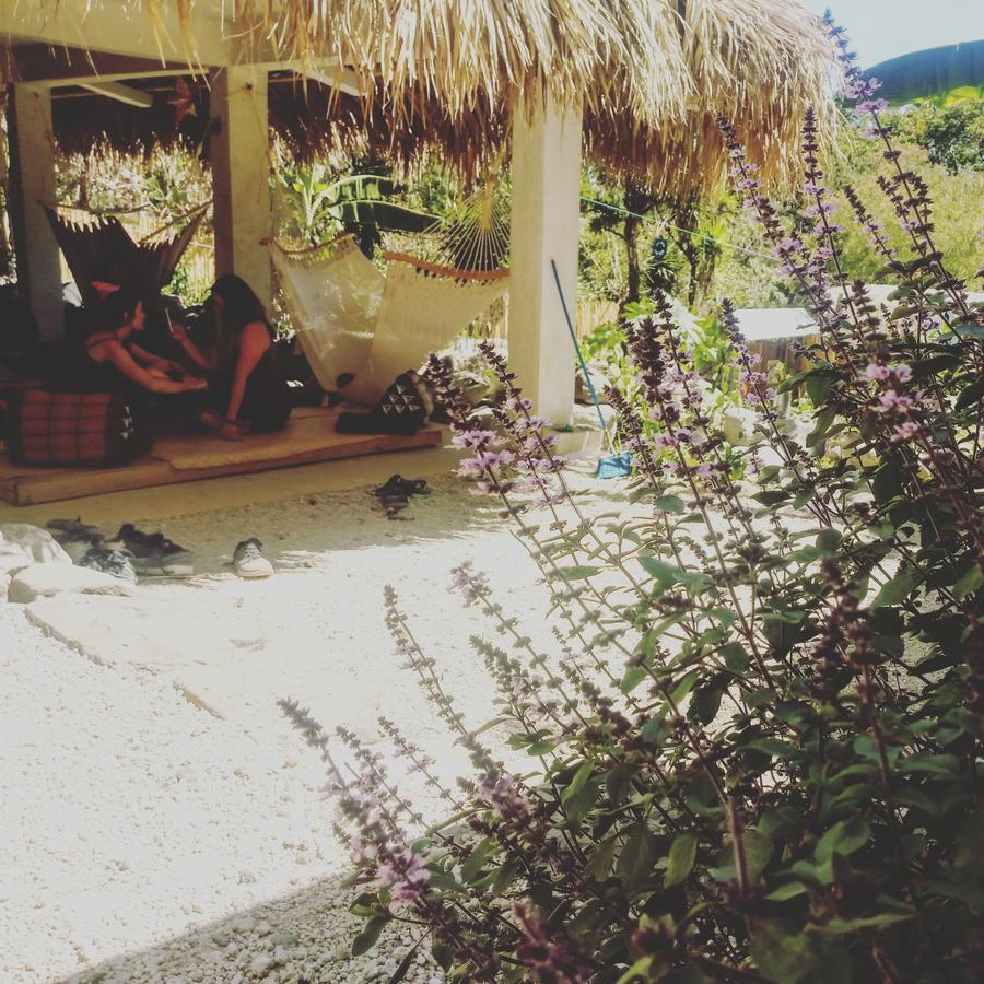 Hostel Ahau San Marcos La Laguna Exteriör bild